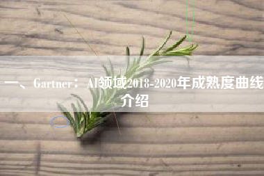 一、Gartner：AI领域2018-2020年成熟度曲线介绍