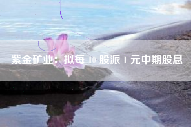 紫金矿业：拟每 10 股派 1 元中期股息