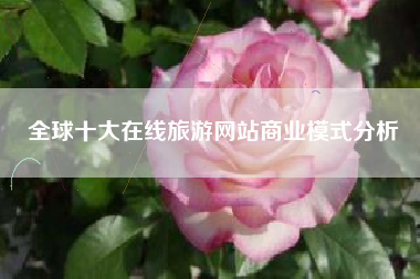 全球十大在线旅游网站商业模式分析