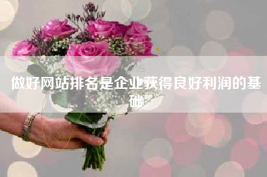 做好网站排名是企业获得良好利润的基础
