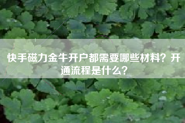 快手磁力金牛开户都需要哪些材料？开通流程是什么？