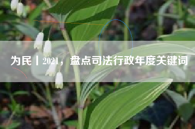 为民丨2021，盘点司法行政年度关键词