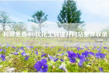 利用免费SEO优化工具提升网站整体收录