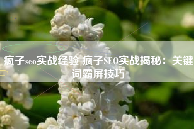 疯子seo实战经验 疯子SEO实战揭秘：关键词霸屏技巧