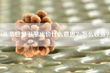 头条巨量引擎出价什么意思？怎么收费？