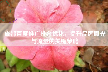 成都百度推广排名优化，提升品牌曝光与流量的关键策略