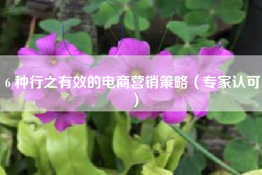 6 种行之有效的电商营销策略（专家认可）