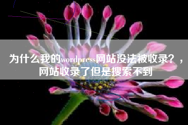 为什么我的wordpress网站没法被收录？，网站收录了但是搜索不到