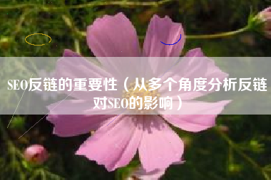 SEO反链的重要性（从多个角度分析反链对SEO的影响）