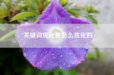 关键词优化是怎么优化的