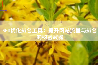 SEO优化排名工具：提升网站流量与排名的秘密武器