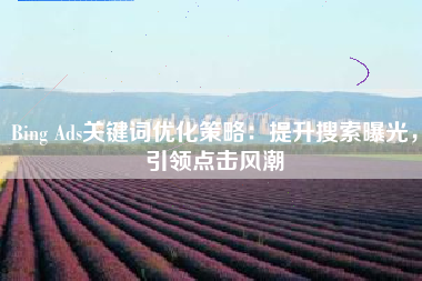 Bing Ads关键词优化策略：提升搜索曝光，引领点击风潮