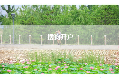 搜狗开户