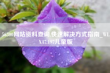 56300网站资料查询,快速解决方式指南_WLX47.197儿童版