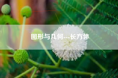 图形与几何---长方体 图形与几何---长方体