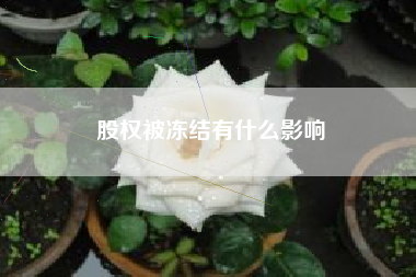 股权被冻结有什么影响