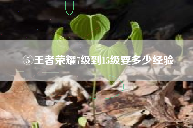 ⑤王者荣耀7级到15级要多少经验