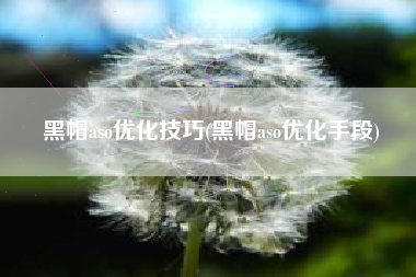 黑帽aso优化技巧(黑帽aso优化手段)