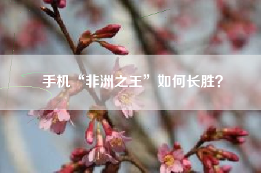 手机“非洲之王”如何长胜？