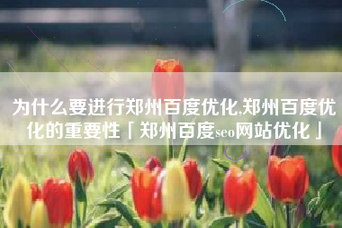 为什么要进行郑州百度优化,郑州百度优化的重要性「郑州百度seo网站优化」