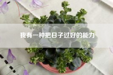 我有一种把日子过好的能力