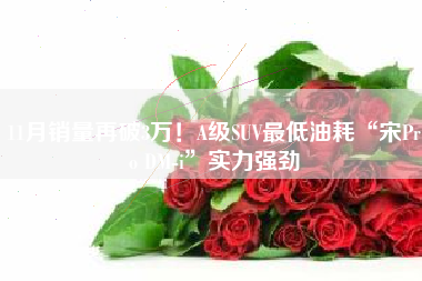 11月销量再破3万！A级SUV最低油耗“宋Pro DM-i”实力强劲