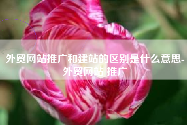 外贸网站推广和建站的区别是什么意思-外贸网站 推广