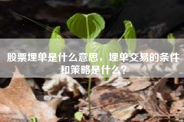股票埋单是什么意思，埋单交易的条件和策略是什么？