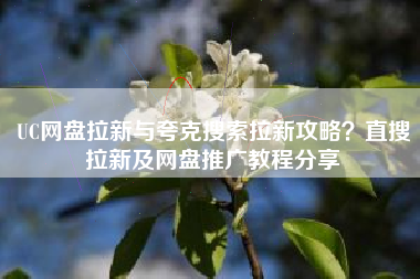 UC网盘拉新与夸克搜索拉新攻略？直搜拉新及网盘推广教程分享