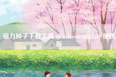磁力种子下载工具 qBittorrent v4.6.5.10 便携版