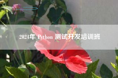 2024年 Python 测试开发培训班