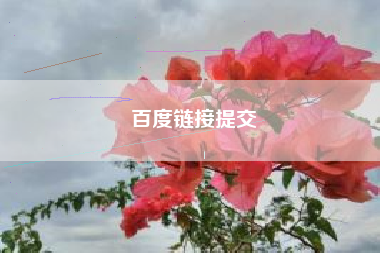 百度链接提交