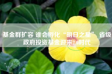 基金群扩容 谁会孵化“明日之星” 省级政府投资基金迎来2.0时代