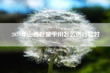 2024年山西巨量千川怎么进行赔付