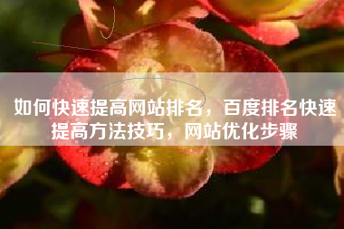 如何快速提高网站排名，百度排名快速提高方法技巧，网站优化步骤