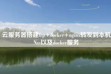 云服务器搭建frp+docker+nginx转发到本机Nas以及docker服务