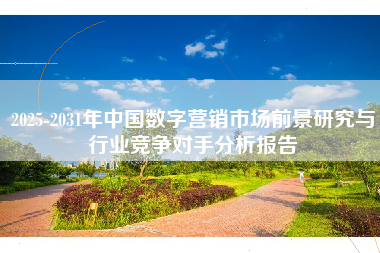 2025-2031年中国数字营销市场前景研究与行业竞争对手分析报告