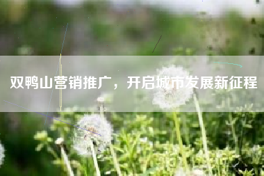 双鸭山营销推广，开启城市发展新征程