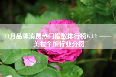 11月品牌消费热门指数排行榜Vol.2 —— 美妆个护行业分榜