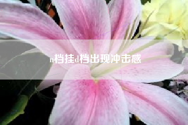 n档挂d档出现冲击感