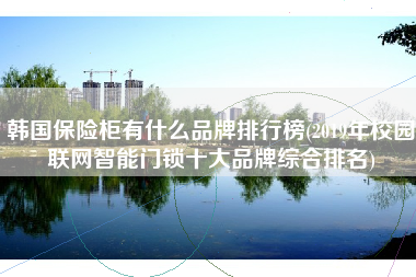 韩国保险柜有什么品牌排行榜(2019年校园联网智能门锁十大品牌综合排名)