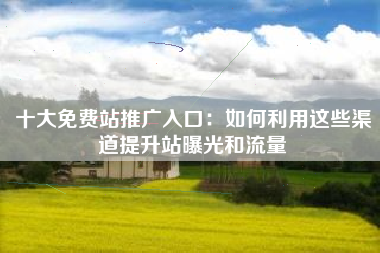 十大免费站推广入口：如何利用这些渠道提升站曝光和流量