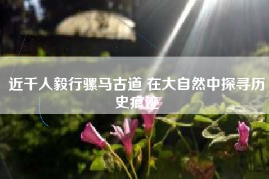近千人毅行骡马古道 在大自然中探寻历史痕迹