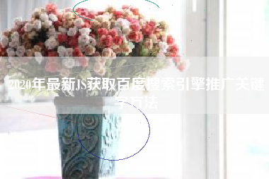 2020年最新JS获取百度搜索引擎推广关键字方法