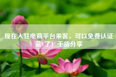 现在入驻电商平台来客，可以免费认证蓝V了！干货分享