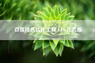 百度排名优化工具 V3.0 正式版