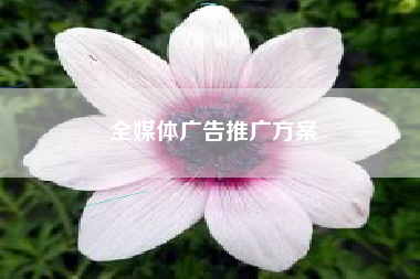 全媒体广告推广方案