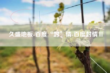 久盛地板-百度“封”情-百度封情Ⅲ