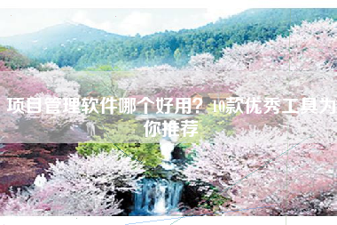 项目管理软件哪个好用？10款优秀工具为你推荐
