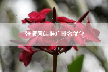 张掖网站推广排名优化